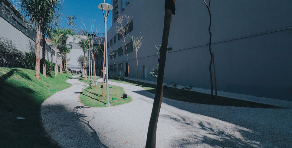 Bosque com trilha